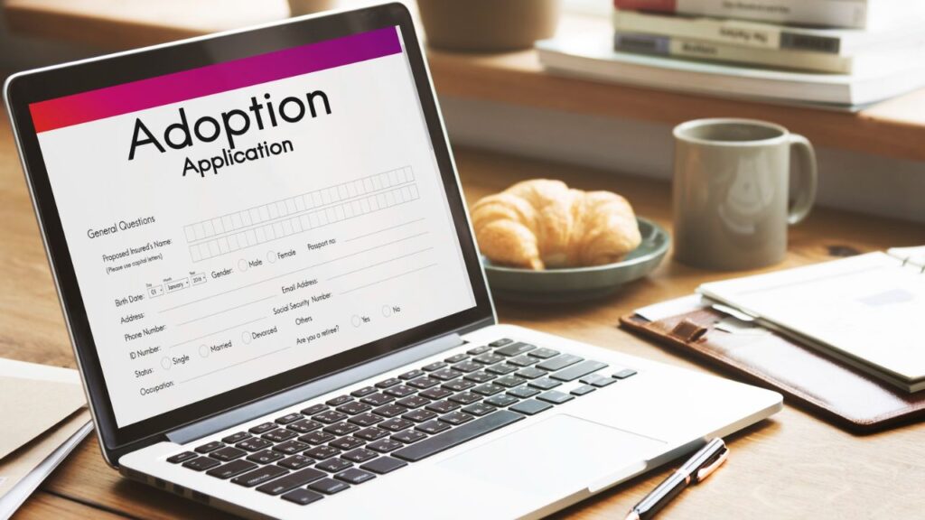 ALEI Admissions Process